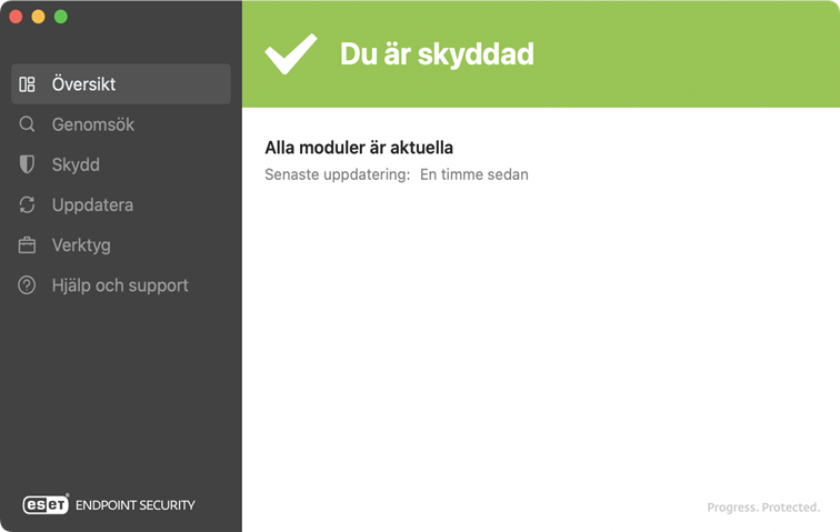 Statusskärm för ESET Endpoint Security