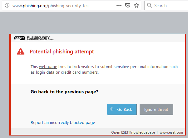 web_phishing