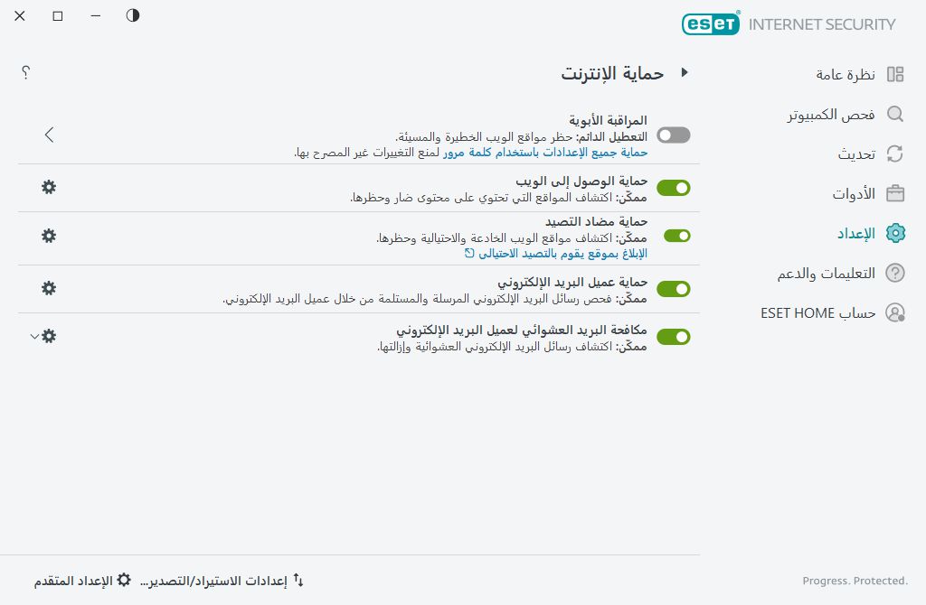 حماية الإنترنت حماية الإنترنت