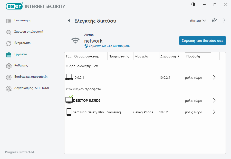 Ελεγκτής δικτύου