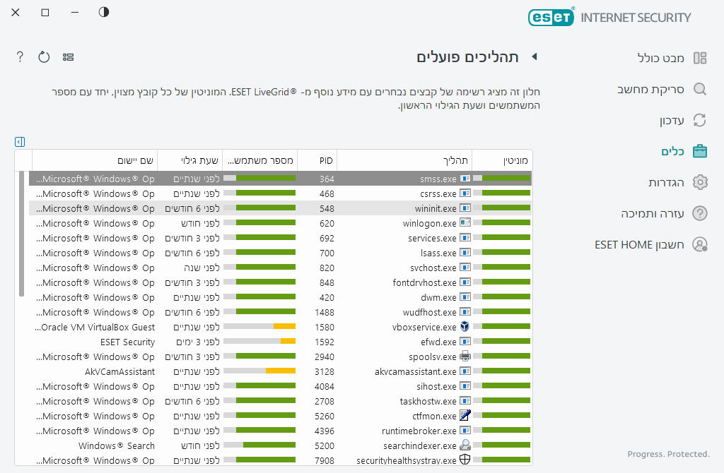 תהליכים פועלים