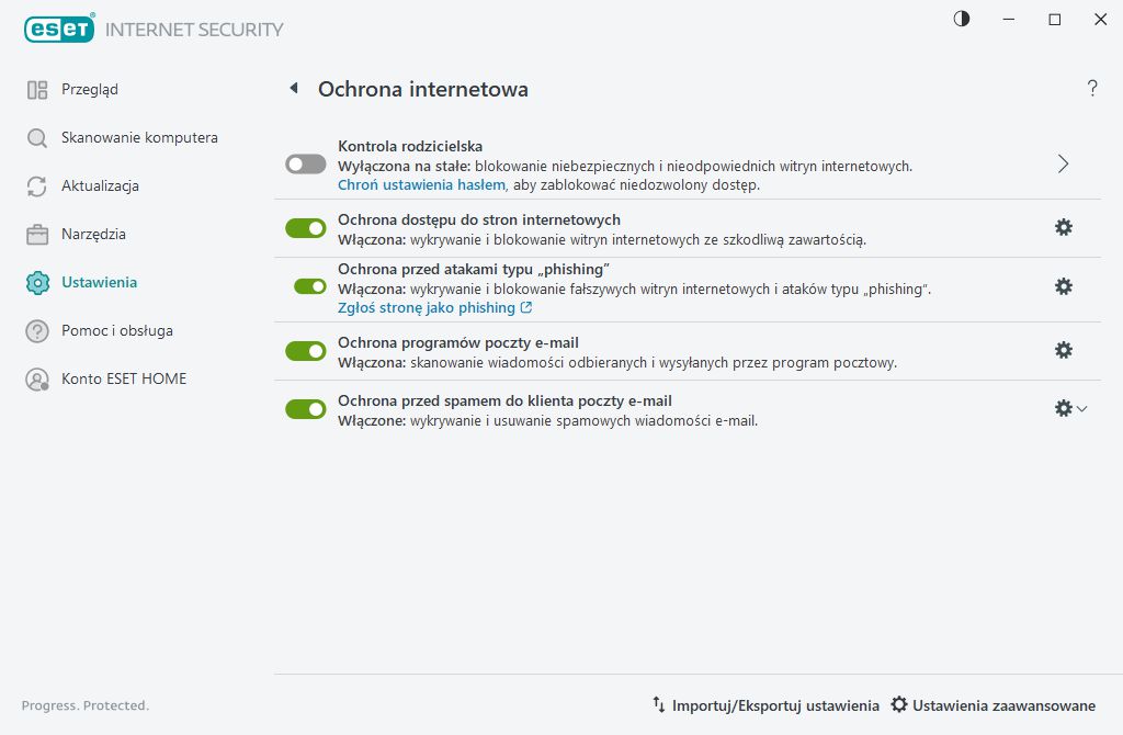 Ochrona internetowa Ochrona internetowa