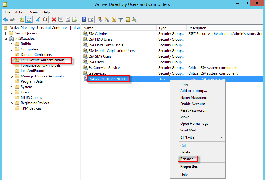 ESA service rename steps