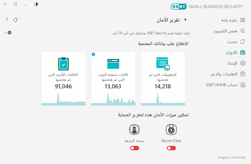 تقرير الأمان تقرير الأمان
