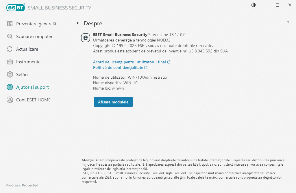 Detalii despre versiunea instalată Detalii despre versiunea instalată