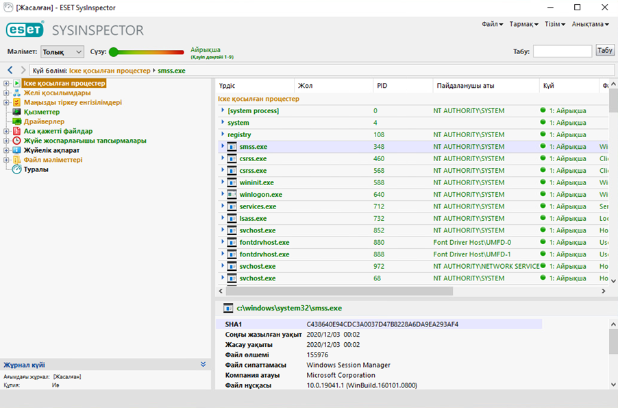 SINSP_USAGE