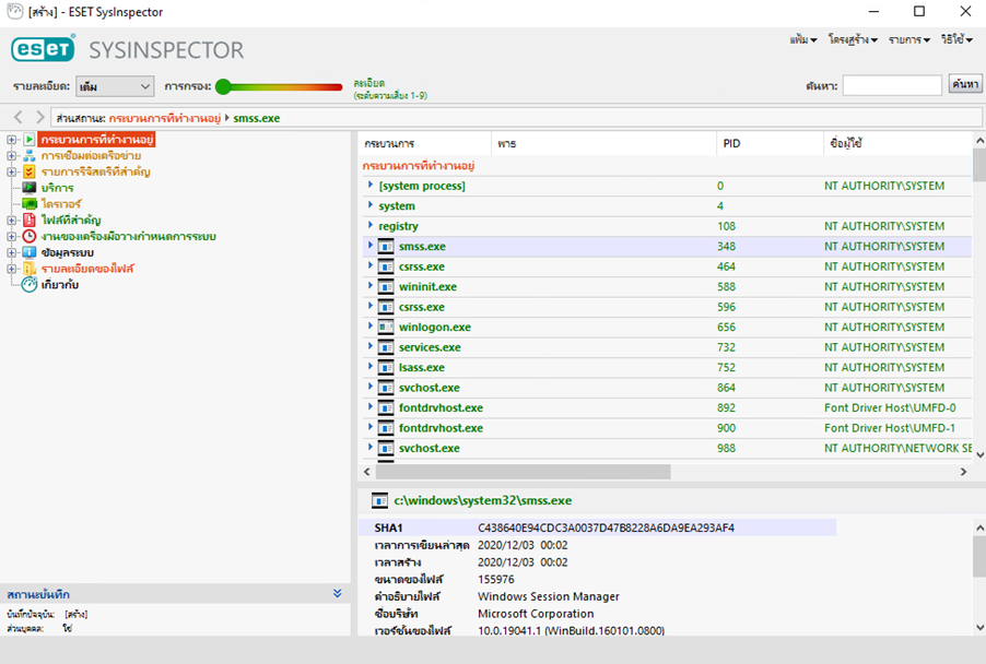 SINSP_USAGE