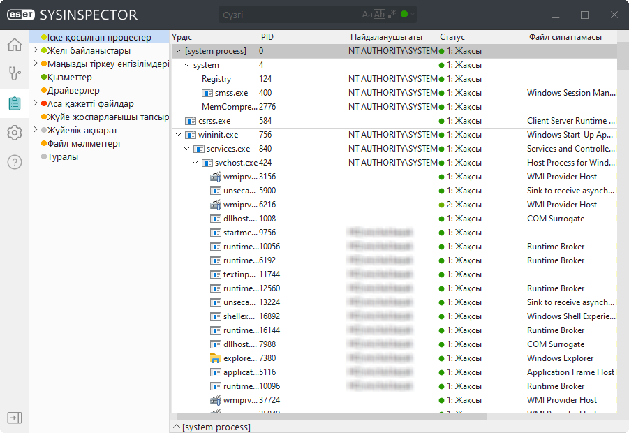 SINSP_USAGE