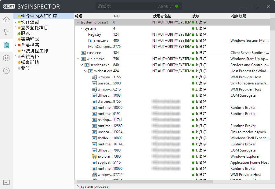 SINSP_USAGE