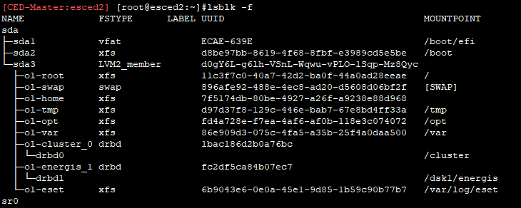 Console output of lsblk -f.