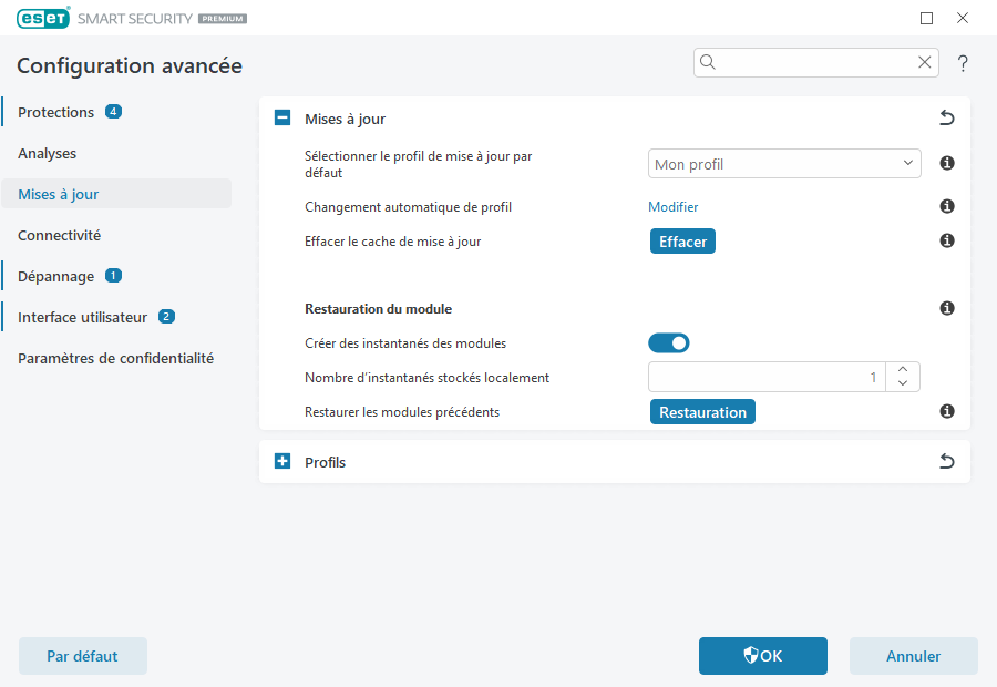 Option de mises à jour supplémentaire 