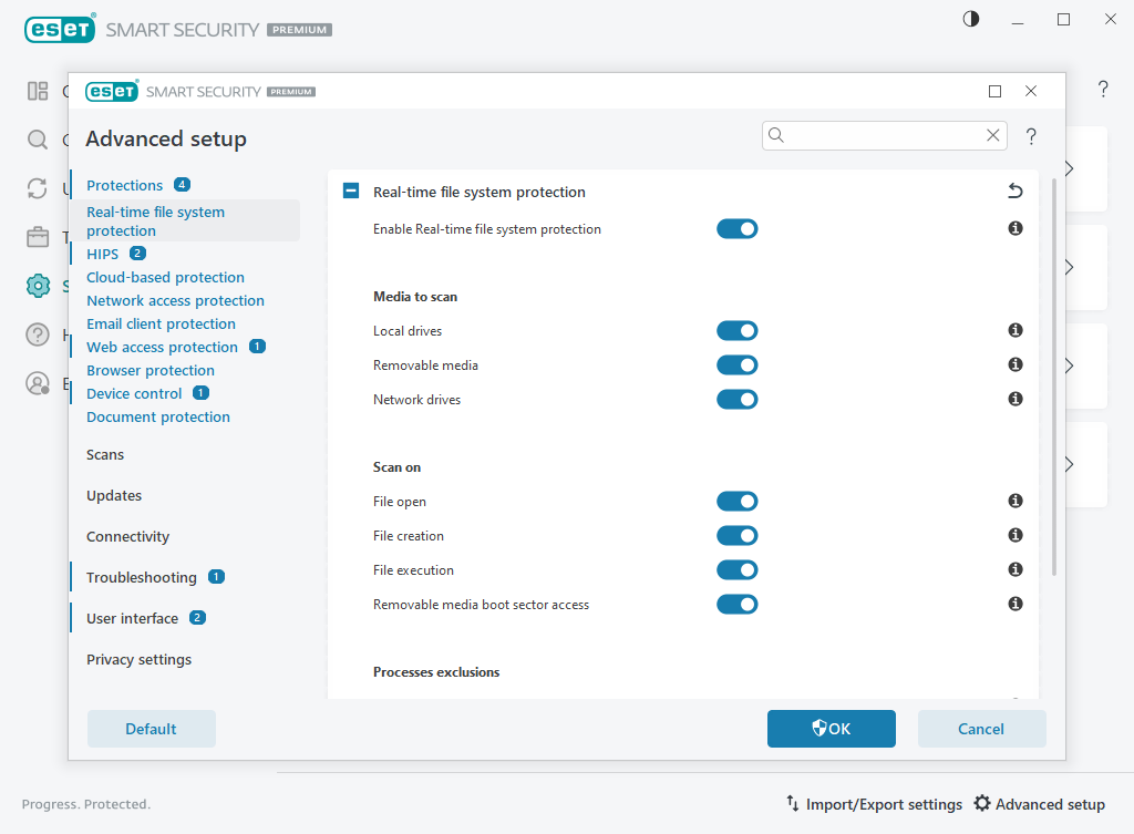 Real-time file system protection Real-time file system protection