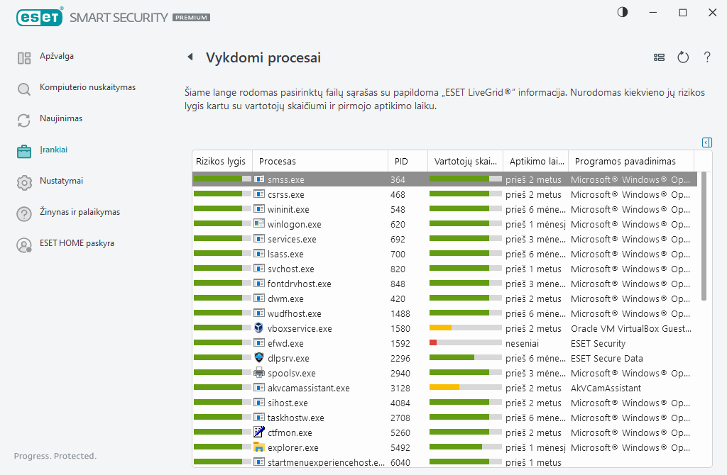 Vykdomi procesai Vykdomi procesai