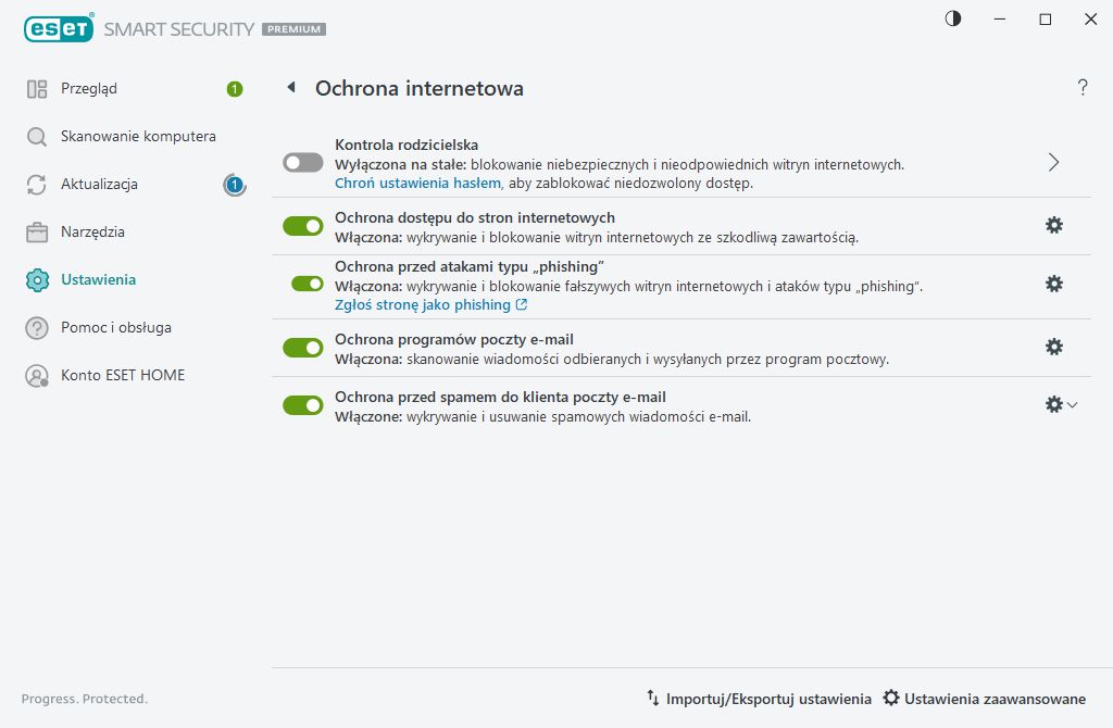 Ochrona internetowa Ochrona internetowa