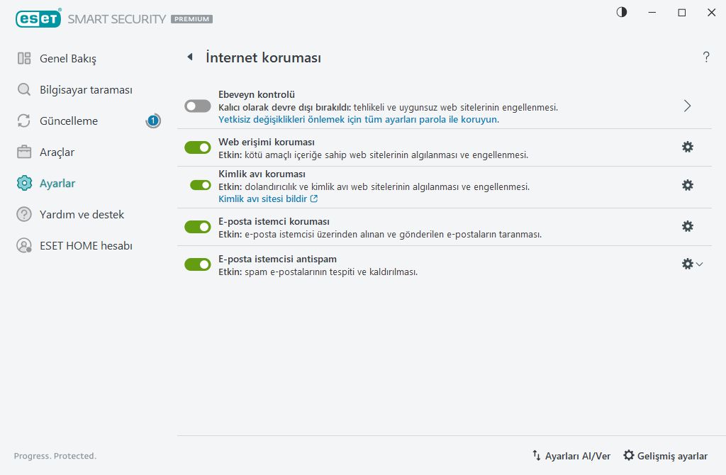 İnternet koruması İnternet koruması