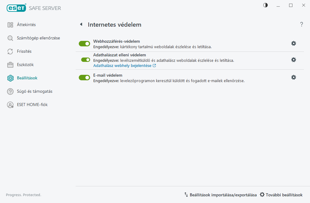 Internetes védelem Internetes védelem