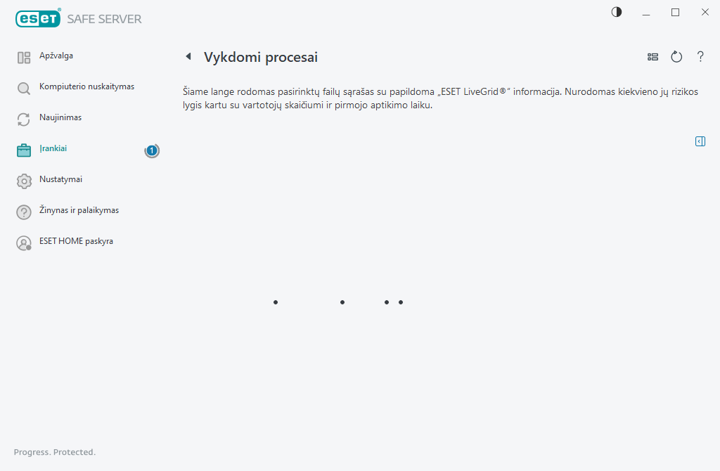 Vykdomi procesai