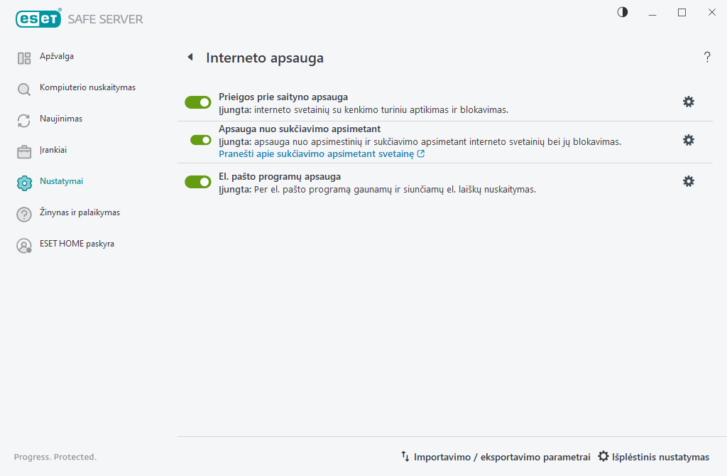 Interneto apsauga