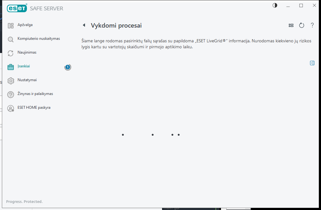 Naujinimo procesas Naujinimo procesas