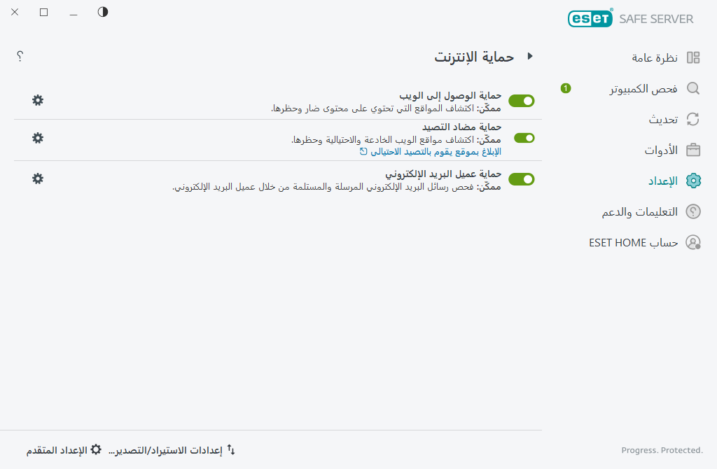 حماية الإنترنت