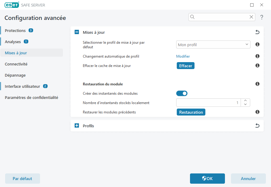 Options de mise à jour supplémentaires Options de mise à jour supplémentaires