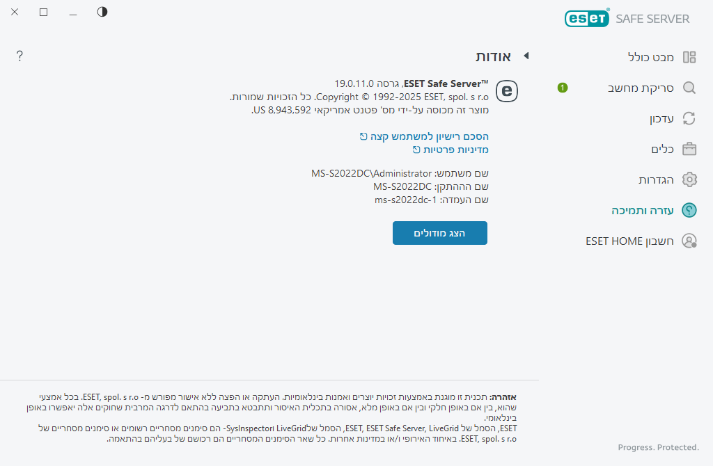 פרטים על הגרסה המותקנת