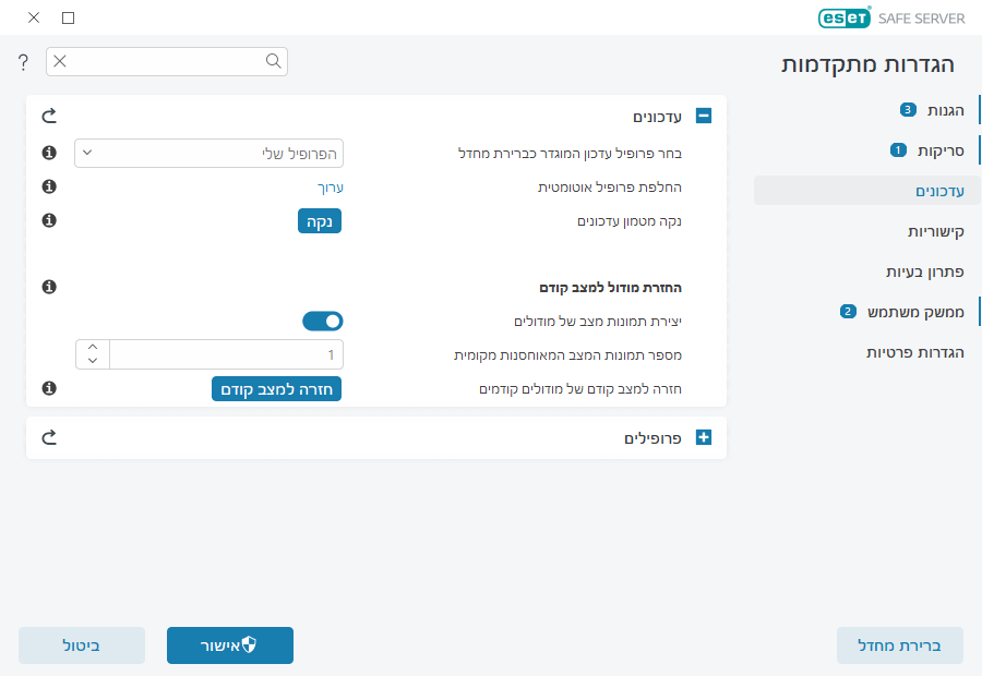 אפשרויות של עדכונים נוספים אפשרויות של עדכונים נוספים