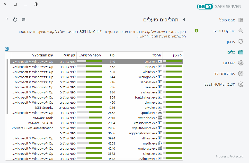 תהליכים פועלים