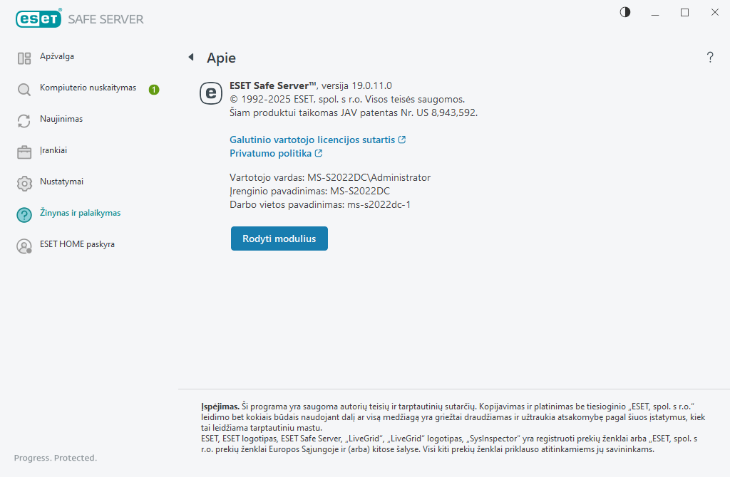 Išsami informacija apie įdiegtą versiją