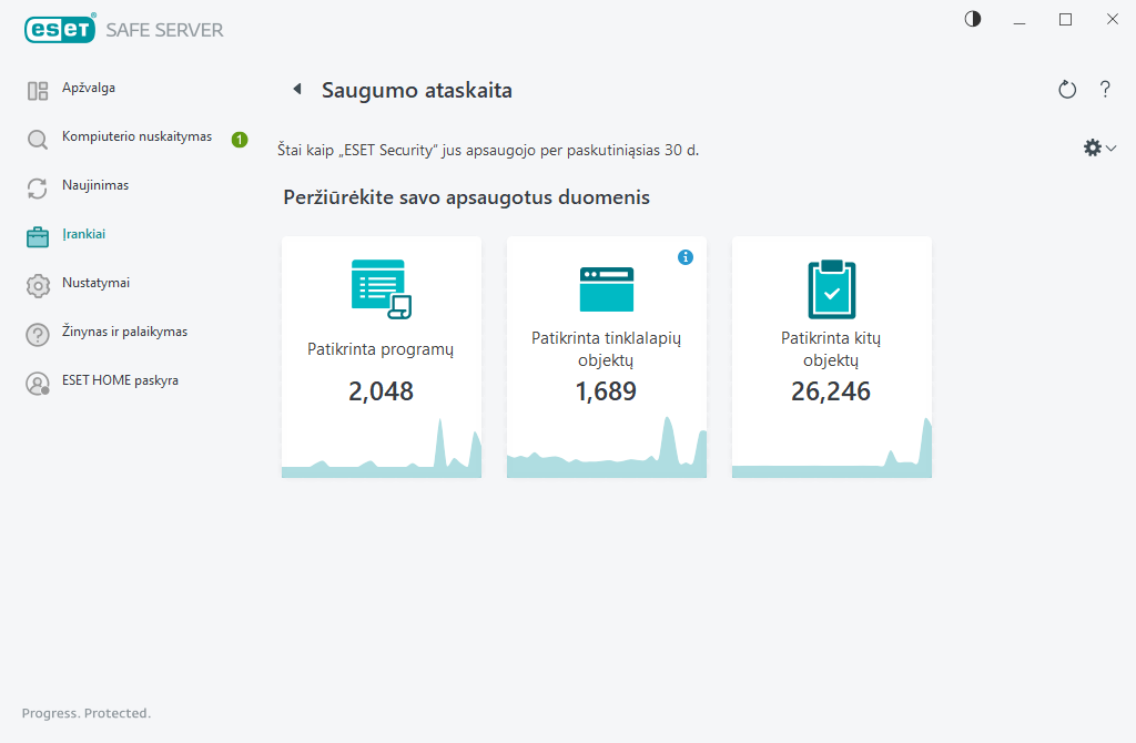 Saugumo ataskaita Saugumo ataskaita