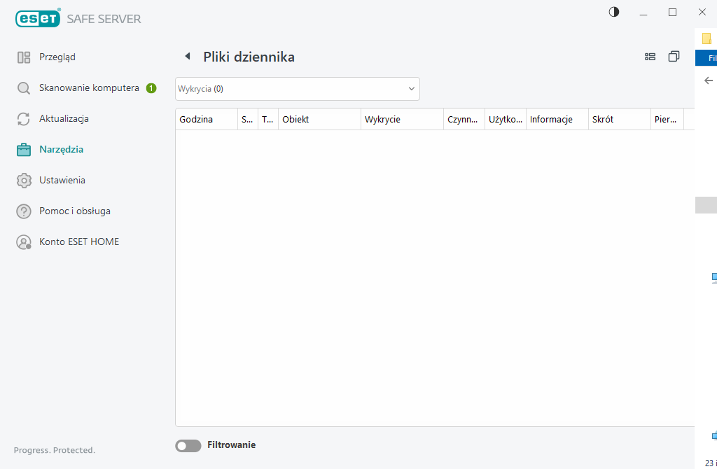 Pliki dziennika Pliki dziennika