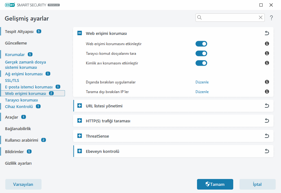 CONFIG_WEB_ACCESS