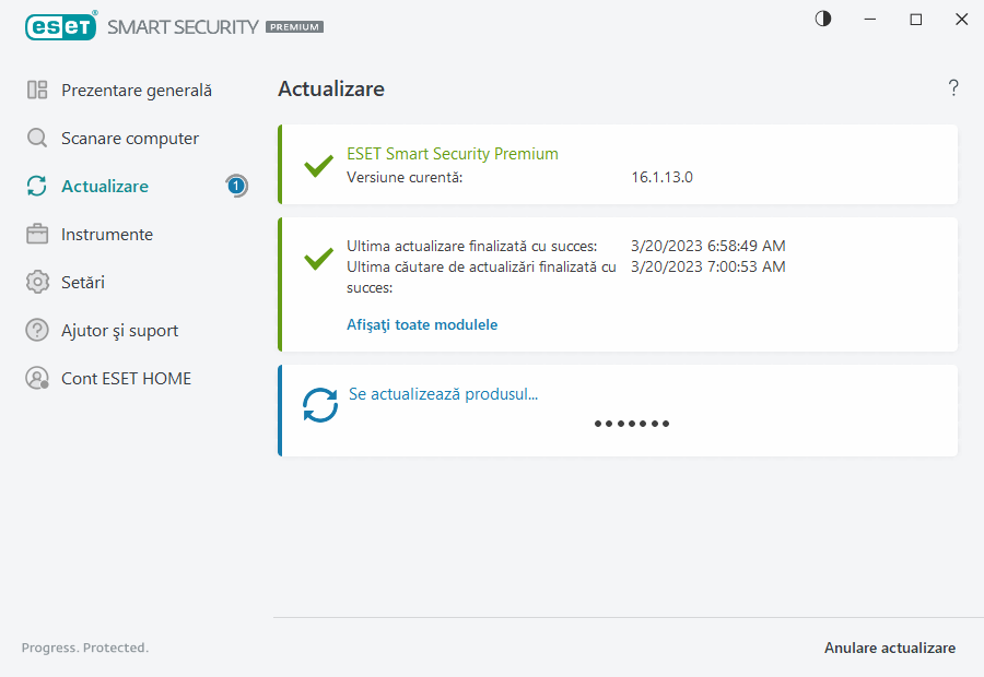 Proces de actualizare Proces de actualizare