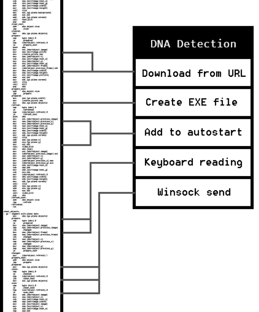 SCHEME_DNA_DETECTIONS