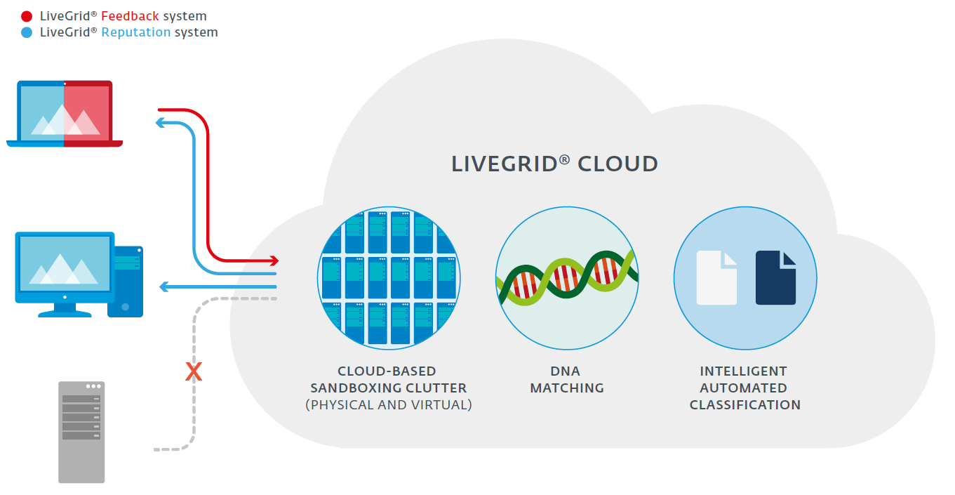 SCHEME_LIVEGRID