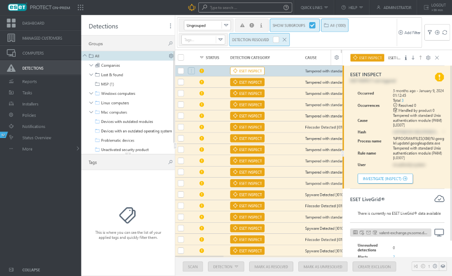 Detection preview