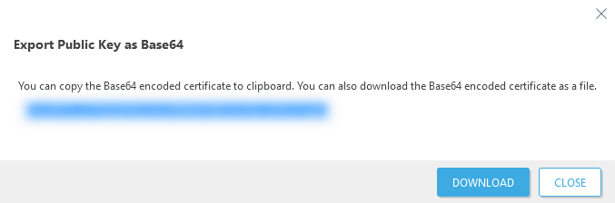 Export Public Key as Base64.