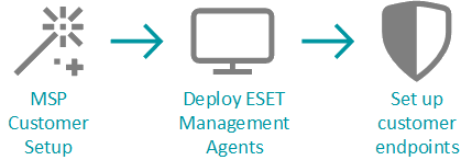 Deployment process for MSP Deployment process for MSP