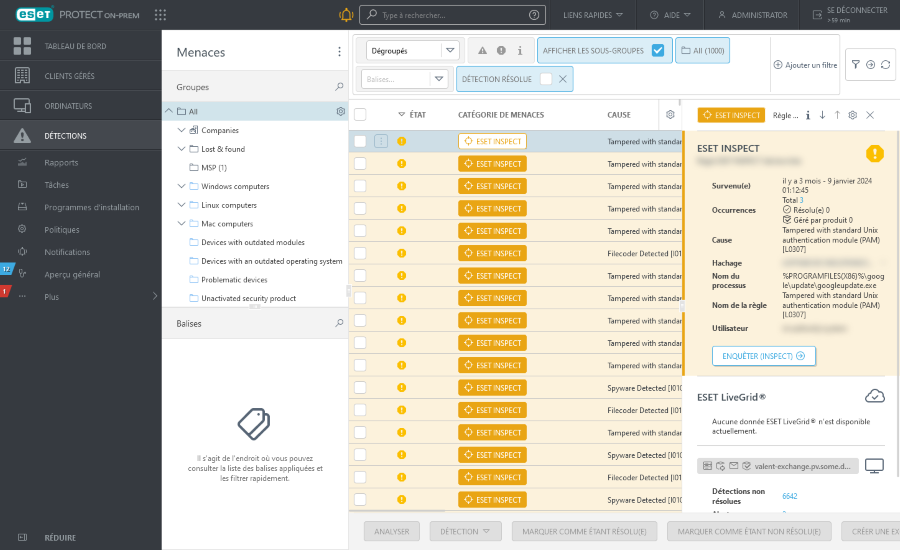 detection_preview