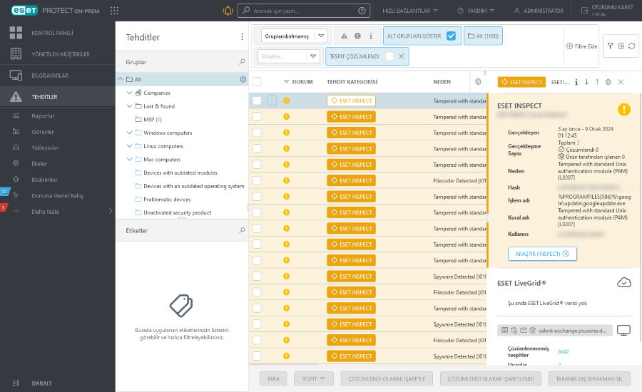 detection_preview