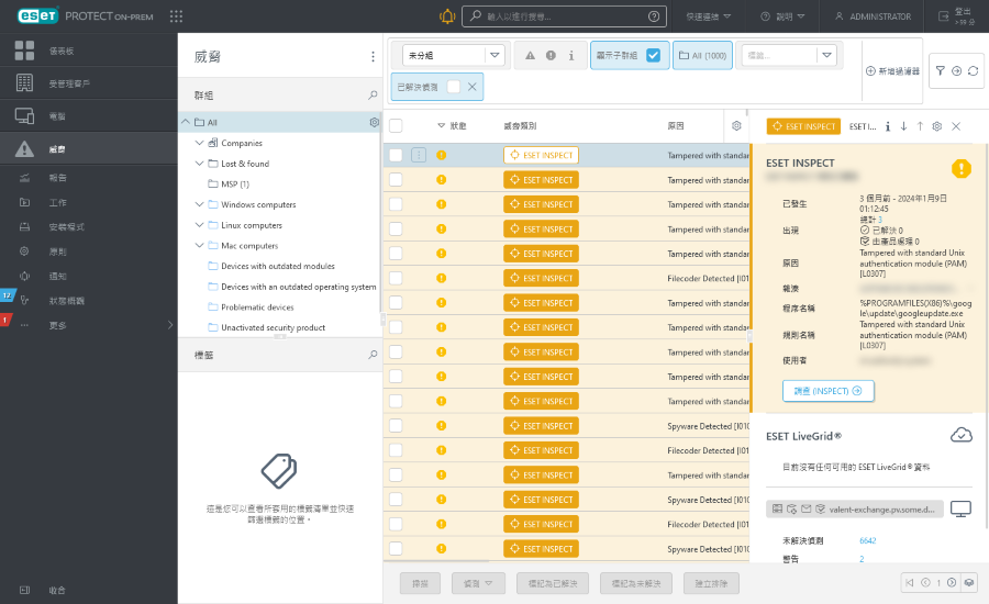 detection_preview