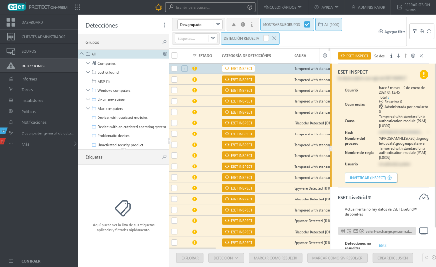 detection_preview