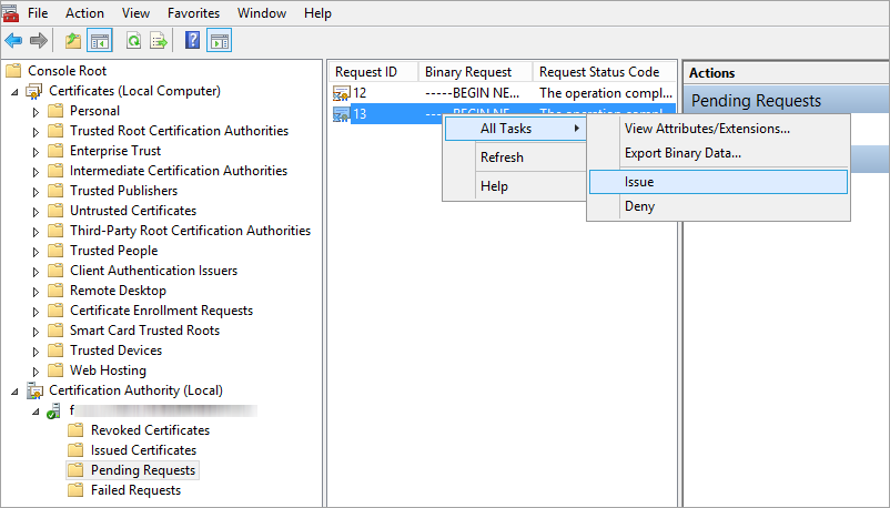 using_custom_certificate_14