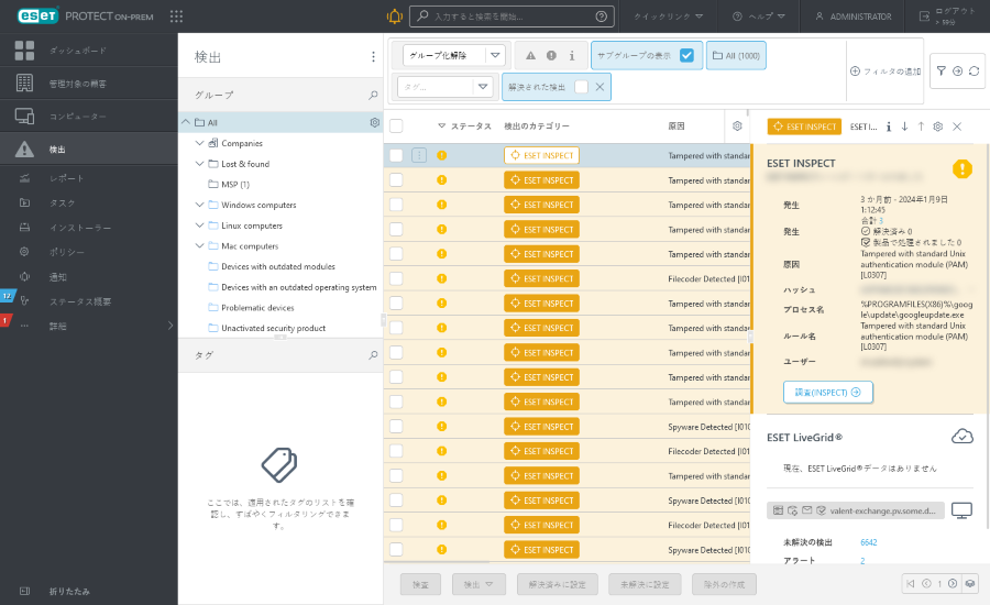 detection_preview