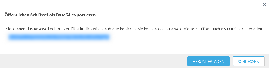 Öffentlichen Schlüssel als Base64 exportieren