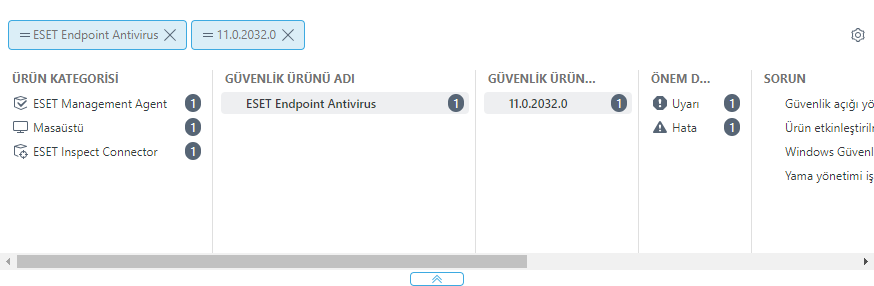 Gelişmiş filtrelerde eşit veya eşit olmayan değer