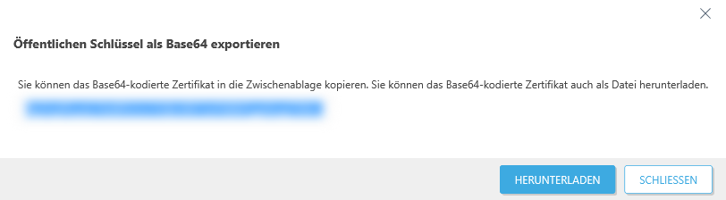 Öffentlichen Schlüssel als Base64 exportieren