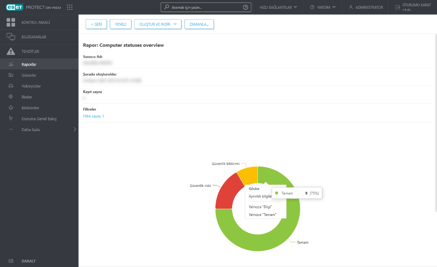 Rapora genel bakış