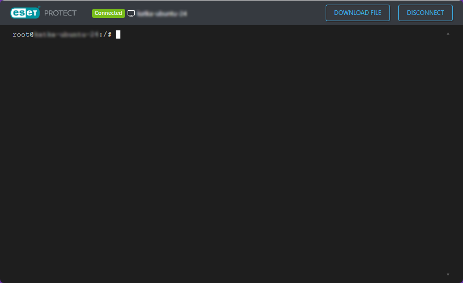 Terminal Terminal