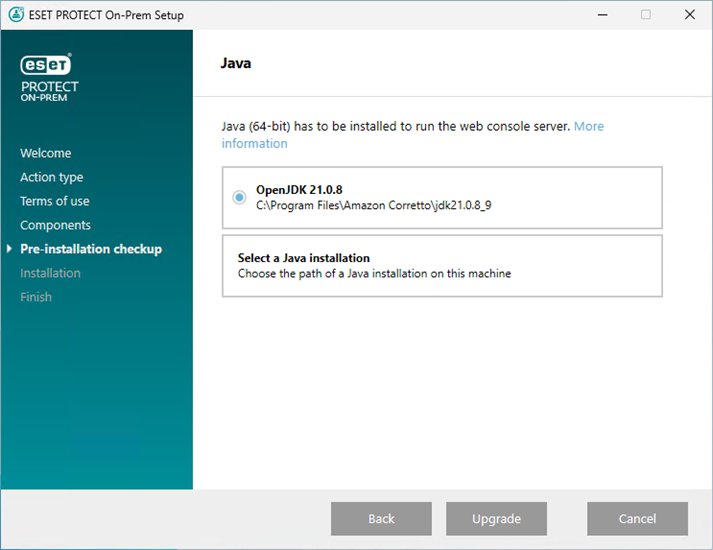 Комплексный установщик ESET PROTECT обнаружил установку Java